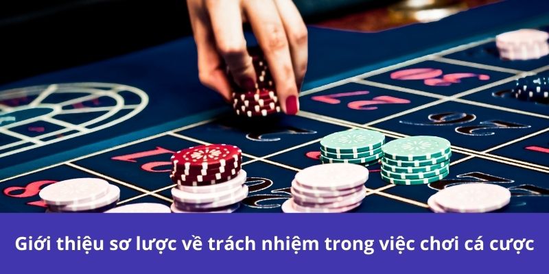 Cá Cược Có Trách Nhiệm - Hướng Dẫn Toàn Diện Để Chơi An Toàn 3 Trách nhiệm trong cuộc chơi là của ai?