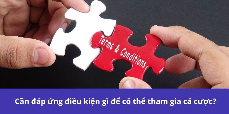 Điều Khoản Và Điều Kiện 123B – Những Điều Cần Biết 1 Cần đáp ứng điều kiện gì để có thể tham gia cá cược?