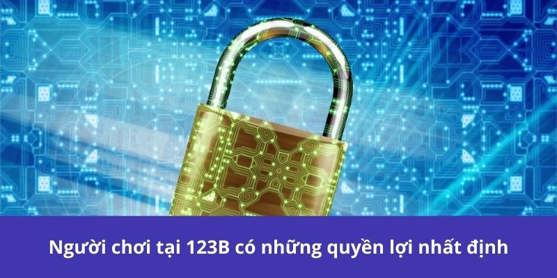 Chính Sách Bảo Mật 123B – Cam Kết Bảo Vệ Dữ Liệu Người Dùng 3 Người chơi tại 123B có những quyền lợi nhất định