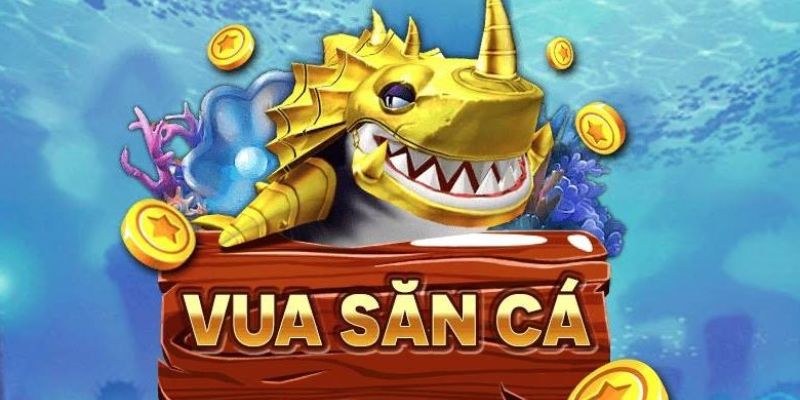 Vua Săn Cá - Chinh Phục Đại Dương Và Nhận Thưởng Siêu Khủng 4 Lựa chọn sảnh chơi mà bạn yêu thích